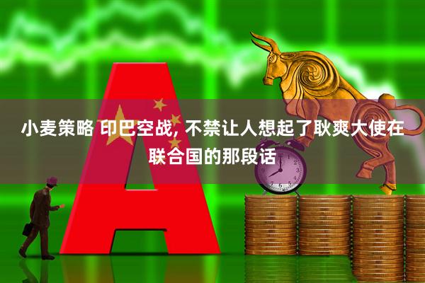 小麦策略 印巴空战, 不禁让人想起了耿爽大使在联合国的那段话