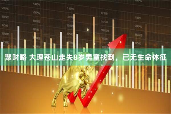 聚财略 大理苍山走失8岁男童找到，已无生命体征